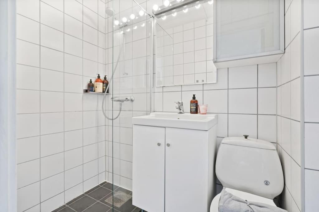 Studioleilighet I Med Egen Inngang Trondheim