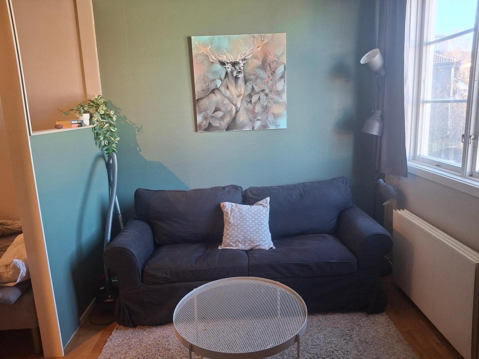 Studioleilighet I Med Egen Inngang Apartment